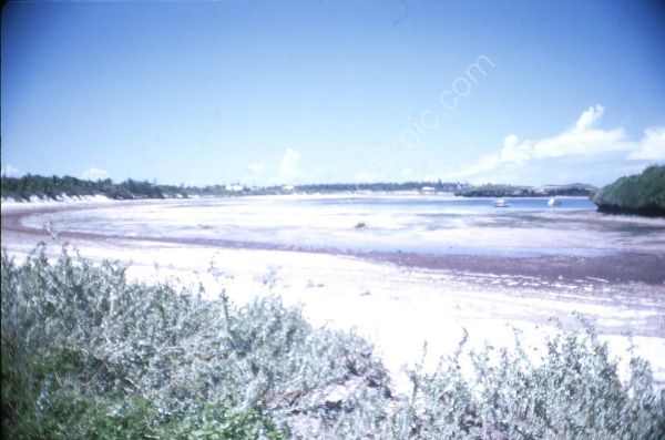 Turtle Bay, Malindi